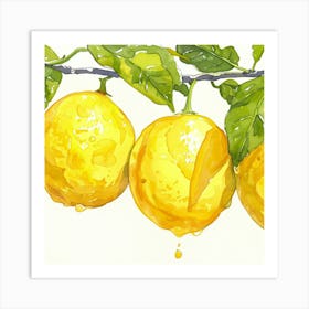 Lemons On A Branch Art Print