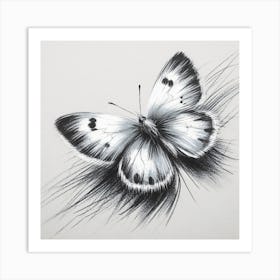 Butterfly Pencil Drawing Art Print