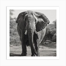 Zoo Animal Line 0 Art Print