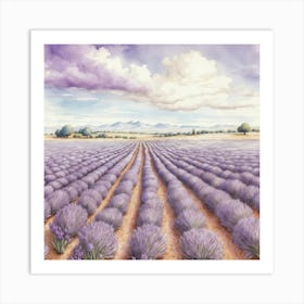 Lavender Field 3 Art Print