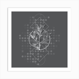 Vintage Bay Laurel Botanical with Line Motif and Dot Pattern in Ghost Gray Art Print