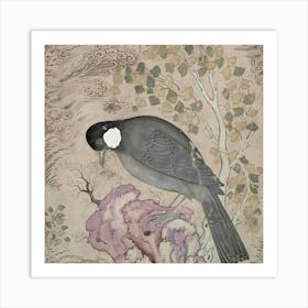 Bird Perched On A Rock 1 Art Print