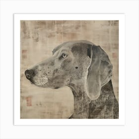 Weimaraner Art Print