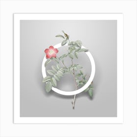 Vintage Pink Alpine Rose Minimalist Flower Geometric Circle on Soft Gray n.0567 Art Print