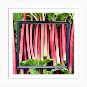 Rhubarb 60 Art Print