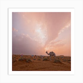 Camels In The Desert 4 Art Print