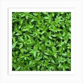 Background Of Green Plants Art Print