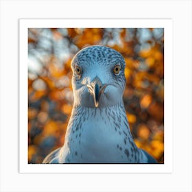 Portrait Of A Seagull 3 Art Print