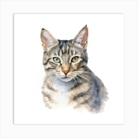 American Wirehair Shorthair Cat Portrait 1 1 Art Print