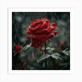 Rainy Rose Art Print