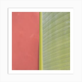 Natural balance banana leaf Art Print