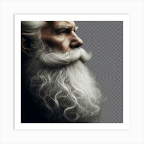 Old Man With Beard 1 Art Print