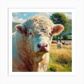 Charolais Bull Art Print