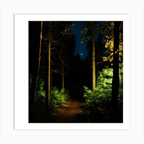 Path In The Woods At Night Art Print