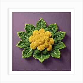 Cauliflower Flower 4 Art Print