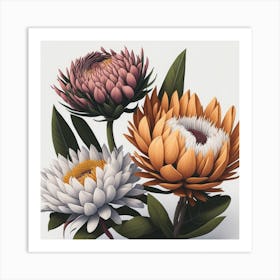 Proteas myluckycharm Art Print