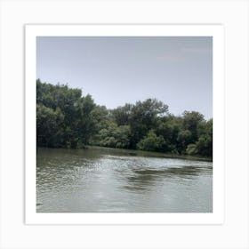 River With Trees Art Print