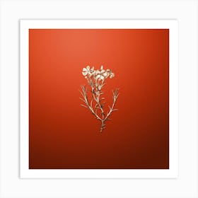 Gold Botanical Shewy Phlox Flower Branch on Tomato Red n.4054 Art Print