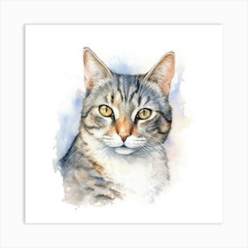 American Wirehair Cat Portrait Art Print