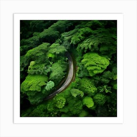 Aerial View Of A Tropical Forest Art Print