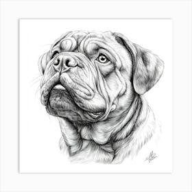 Sharpei 1 Art Print