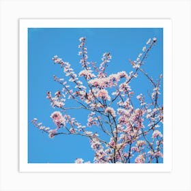 Spring Blossom Square Art Print