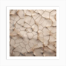 Cracked Wall Art Print