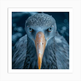 Arctic Tern 1 Art Print