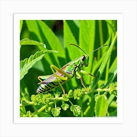 Grasshopper 29 Art Print