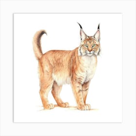 Desert Lynx Cat Portrait 2 Art Print