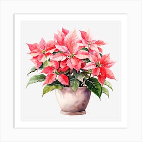 Poinsettia 10 Art Print