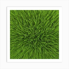 Grass Field Background Art Print