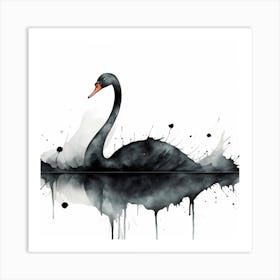 Black Swan 1 Art Print