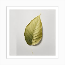 Leaf Stock Art Print