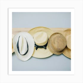 Summer Hats Art Print