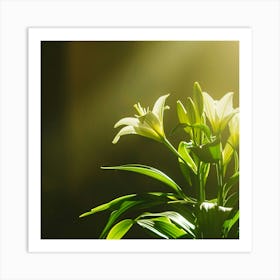 Easter Lilies In A Sunlit Church Serene Art Print