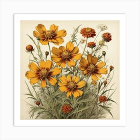 Coreopsis Wildflower Vintage Botanical Art Print 1 Art Print