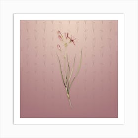 Vintage Amaryllis Montana Botanical on Dusty Pink Pattern n.0251 Art Print