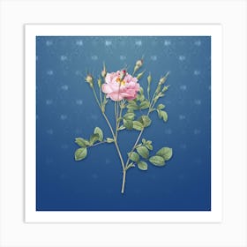 Vintage Anemone Sweetbriar Rose Botanical on Bahama Blue Pattern n.1569 Art Print