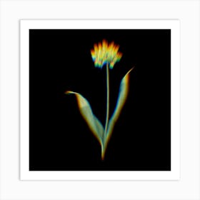 Prism Shift Golden Garlic Botanical Illustration on Black n.0130 Art Print