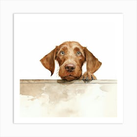 Wirehaired Vizsla Dog 2 Art Print