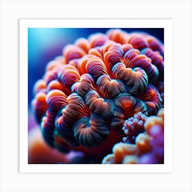 Coral Reef 2 Art Print