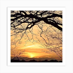 Sunset With Branching Tree Art Print