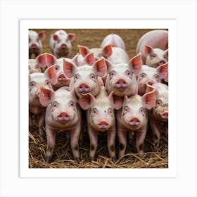 Pigs On A Farm Art Print