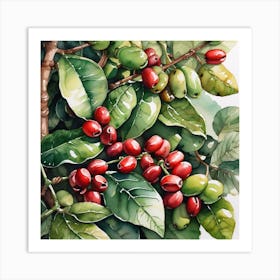 Coffee Berries 13 Art Print