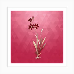 Vintage Ixia Grandiflora Botanical in Gold on Viva Magenta Art Print