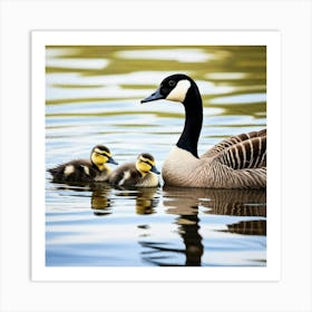 Canadian Geese 6 Art Print