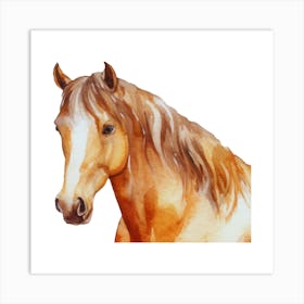 Horse Watercolor Painting.uk 3 Art Print