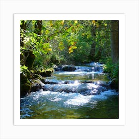 Stream In The Forest Art Print