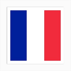 Flag Of France Art Print